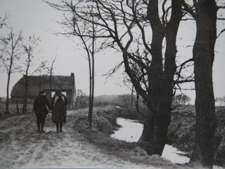 Bargermeer en de riviertjes de Delft